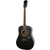 Epiphone Songmaker DR-100 Ebony thumbnail 2