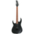 Ibanez RG421EXL-BKF Lefthand Black Flat Set thumbnail 2