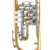Cerveny CFH 502R Bb-Flugelhorn thumbnail 2