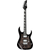Ibanez GRG220PA1-BKB RG Gio E-Gitarre Transparent Brown Black Burst Starter Set thumbnail 2