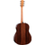 Taylor 217e-SB Plus thumbnail 2