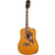 Epiphone Dove Studio Natural thumbnail 2