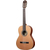 Ortega R18SSN Traditional Series 4/4 Guitare Classique thumbnail 2