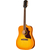 Epiphone Hummingbird Tribute Heritage Sunburst thumbnail 2