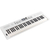 Roland Go:Keys 5 White thumbnail 2