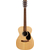 Martin Guitars 00-X2E Cocobolo thumbnail 2