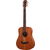 Taylor BT2 Baby Mahogany thumbnail 2