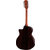 Taylor 454ce Next Generation thumbnail 2