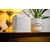 Elac NAVA 100 Akku Bluetooth Lautsprecher Weiss  - 1A Showroom Modell (Zustand: wie neu, in OVP) thumbnail 2