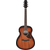 Ibanez AAM140E-MHS Acajou Sunburst Brillant thumbnail 2
