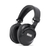 Rane RH-50  - Aussteller (Zustand: gut) thumbnail 2