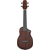 Ibanez AUC14-OV Ukelele de Concierto Open Pore Violin Sunburst thumbnail 2
