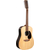 Martin Guitars D-X2E Brazilian 12-String thumbnail 2