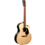 Martin Guitars GPC-X2E Cocobolo thumbnail 2