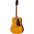 Epiphone Hummingbird Tribute Antique Natural thumbnail 2