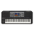 Yamaha PSR-A5000 Keyboard DELUXE SET thumbnail 2