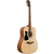 Ibanez V50LNJP-OPN Dreadnought Jam Pack Open Pore Natural  - Retoure (Zustand: gut) thumbnail 2