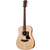 Taylor Big Baby Taylor (BBTe) thumbnail 2