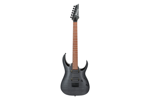 Ibanez RGA42FM-TGF Transparent Gray Flat image 2