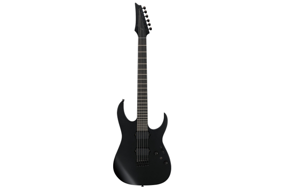 Ibanez RGRTB621-BKF Iron Label image 2