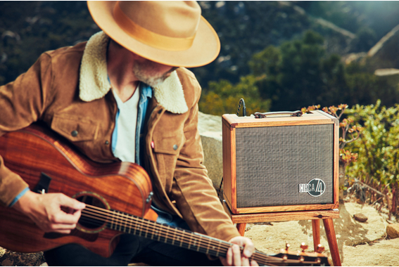 Taylor Circa74 AV150-10 150W 10" Combo Acoustique Koa image 2