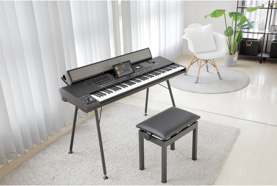 Korg Lautsprechersystem PaAS MK2 image 2