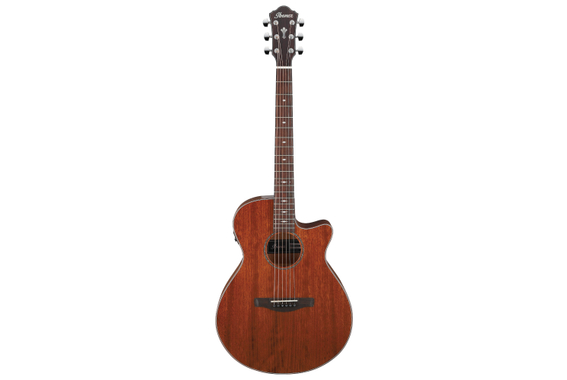 Ibanez AEG220-LGS Natural Low Gloss  - Retoure (Zustand: sehr gut) image 2