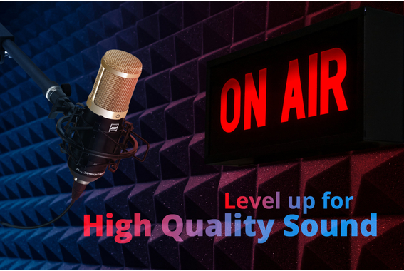 Pronomic CM-100BG Studio Großmembranmikrofon inkl. Spinne & Windschutz Schwarz  - Retoure (Verpackungsschaden) image 2