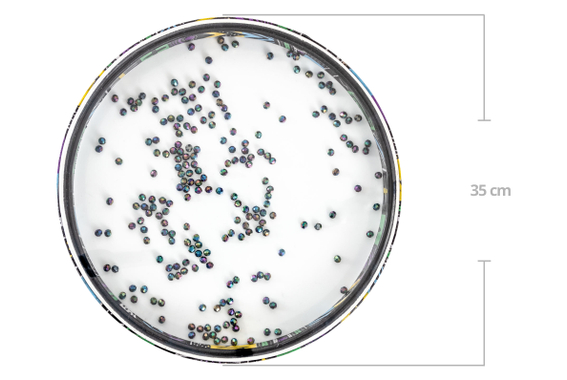 XDrum OD-1 Ocean Drum image 2