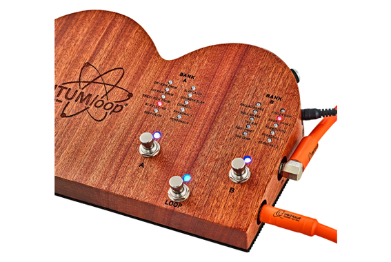 Ortega QUANTUMloop image 2