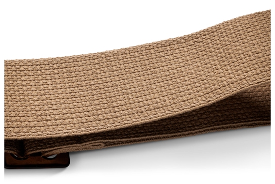 Taylor GS Mini Strap Tan image 2