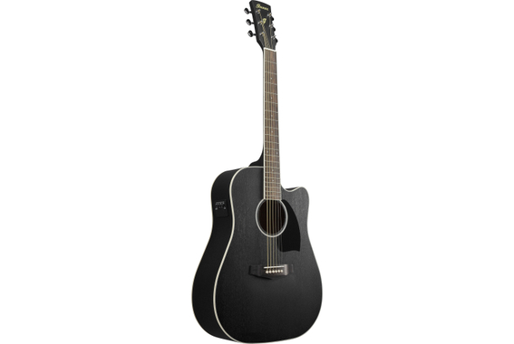 Ibanez PF16MWCE-WK Weathered Black image 2