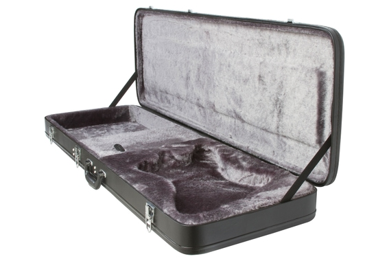 Epiphone Koffer Firebird image 2