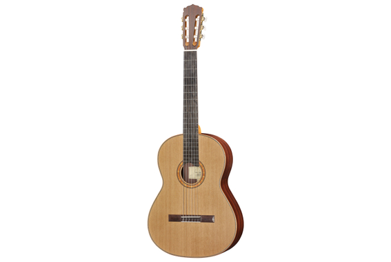 Hanika 50 PC Set Guitare Classique avec Étui Léger image 2