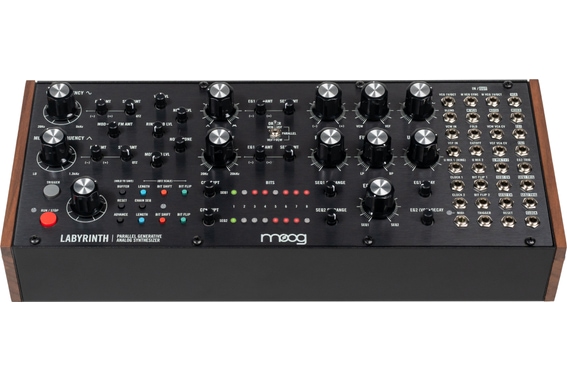 Moog Labyrinth  image 2