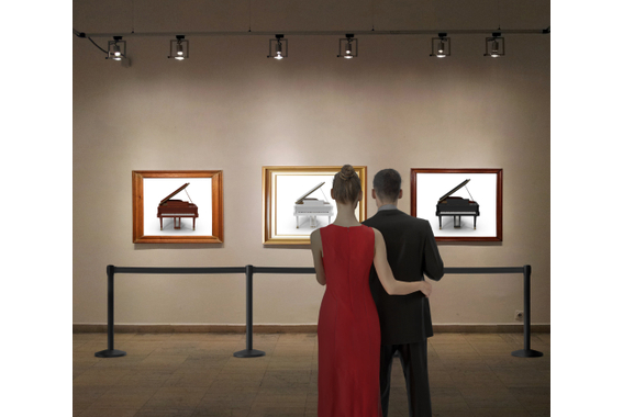 Stagecaptain PLS-200B Poteaux de Séparation Système de Guidage Noir Lot de 4 image 2