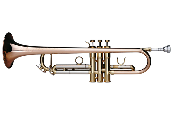 Lechgold TR-14G Tromba Bb verniciata Deluxe Set image 2