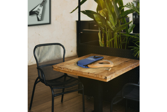 Classic Cantabile LH-10 Lyra Harp 10 Snaren image 2