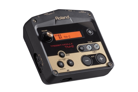 Roland TM-2 Trigger Module image 2
