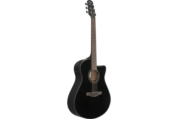 Ibanez AAM340CE-RUB Rustic Black image 2