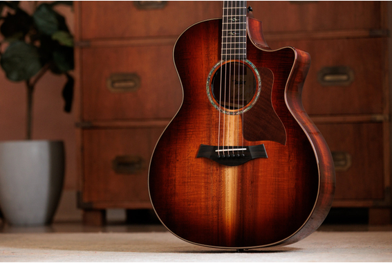 Taylor Special Edition K24ce image 2