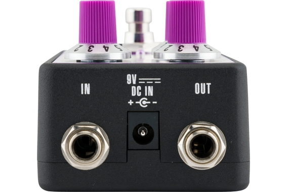 Fender Bassman Fuzz image 2