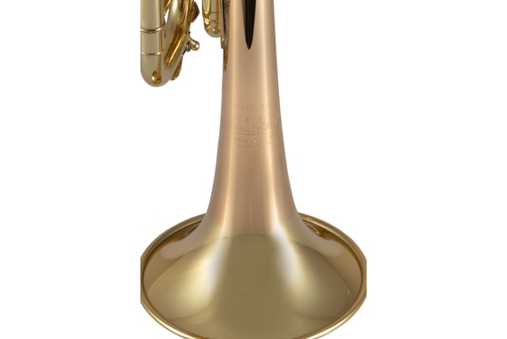 Bach 170-43GY ML Bb Trompeta Lacada image 2