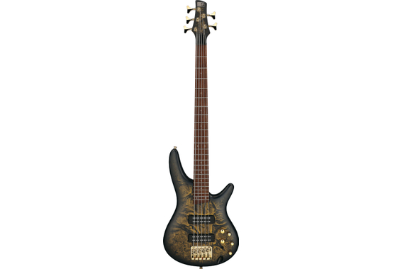 Ibanez SR305EDX-FDM Basso Elettrico Frozen Gold Matte image 2