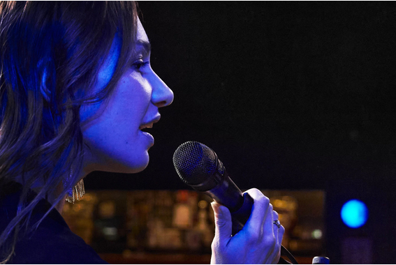 Shure Nexadyne 8/S Microphone Noir image 2