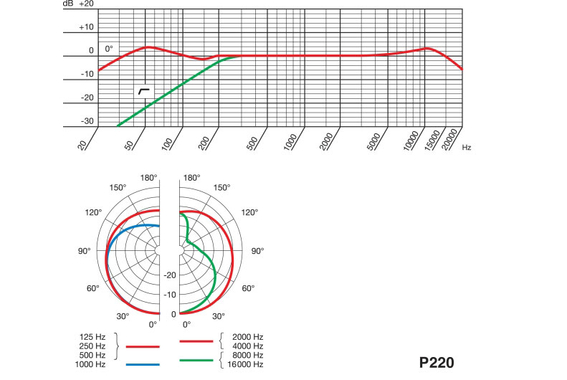 AKG P-220  - Retoure (Zustand: sehr gut) image 2