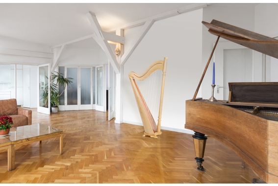 Classic Cantabile P-38 Hakenharfe 38 Saiten  - Retoure (Zustand: akzeptabel) image 2