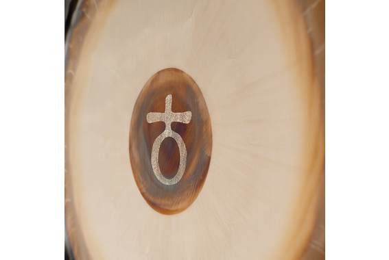 Sela Planetary Gong 20" Platonic Year image 2