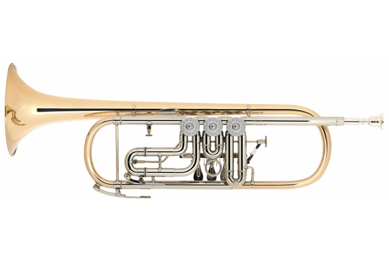 B&S 3005 WTR-L Trompette Sib image 2