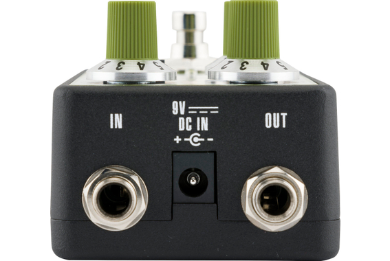 Fender Bassman Reverb image 2